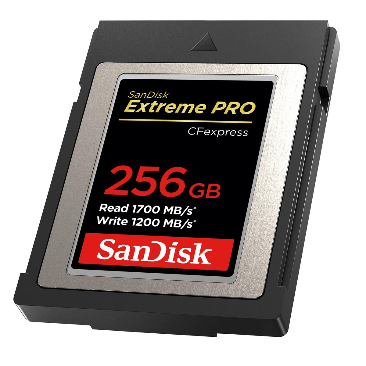 CFexpress_256GB_ExtremePRO_Rig